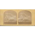 Vintage/Antique 3D Stereoview Card - Phaeton dr...