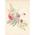 Unused Art Postcard - Blumenstraub mit Rose - O...