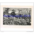 CEMETARY HILL, NAGASAKI, JAPAN, BOOK ILLUSTRATI...