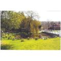 Hedgerley, Buckinghamshire - Village Pond - loc...