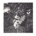 Plum Trees Saving Preservation Crop 1942 WW2 Ph...