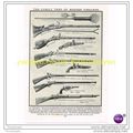 FAMILY TREE OF MODERN FIREARMS, Book Illustrati...