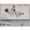 1931 John Player & Sons Poultry No. 43 Light Su...
