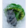 Vegetable Fairy Ground Hog Brocolli Figurine