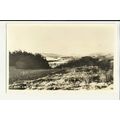 Argyllshire WEST LOCH TARBERT Postcard