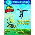 Wild Insects Spiders Wild Kratts