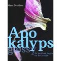Apokalyps