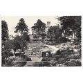 Dingle and St Chad's Church Shrewsbury Shropshire 1966 RP Postcard