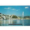 Oriental Bay and Carter Fountain Wellington New...