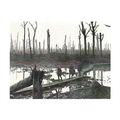 E(Aus) 1220: Australian troops walk along duckb...