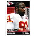 2012 Panini NFL Sticker Collection - #198 - Tam...