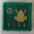 SWIMMING Brownie Girl Guide Sash Patch Interest...