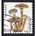 Luxembourg 2004 Mushrooms - Funnel Chanterelle ...