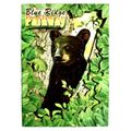 Blue Ridge Parkway North Carolina with Blackbea...