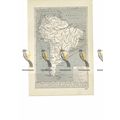 South America, Map of Spanish Conquests, Book I...