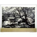 By The River, Elgin, Scotland, Postcard