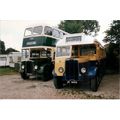 Colour Photograph of Eastbourne Corporation Tra...