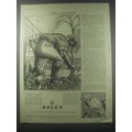 1954 Rolex Watches Ad - Art by Eric Fraser - Four years buried