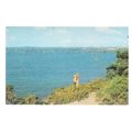 POOLE HARBOUR, DORSET unused vintage postcard b...