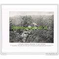 CAPTURED GERMAN TRENCHES AT LES ESPARGES, FRANC...