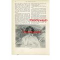 Youth, (Young Boy Sings An Enduring Hymn, Rever...