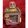 A Beautiful Disney Store Princess Photograph Frame