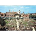 D026224 Roma. Panorama of Roman Forum. Kodak Ek...