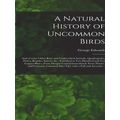 A Natural History of Uncommon Birds