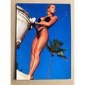 Ujena Swimwear Illustrated 1993 Edition Base tr...