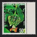 Ivory Coast Flower 'Costus incanusiamus' Margin...