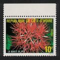 Ivory Coast Flower 'La Boule de Feu' Margin 198...