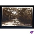 Sussex BEXHILL Collington Woods Postcard (42)