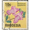 RHODESIA, FLOWER, Dicerocaryum zanguebarium, ye...