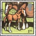 2005 Farm Animals. 1st Value Clydsdale Mare and...
