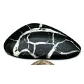 Black Septarian Freeform Gemstone Cabochon 472