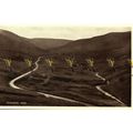 Plynlimon Pass, Wales, Valentines Photo Brown P...