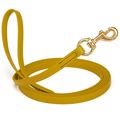 Dog Pet Leash Treasure Gold w/ Brass Hardware W...