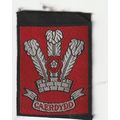 Scout Badge Wales Pre 1967?? - County - Caerdyd...