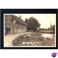 Wiltshire SALISBURY Cathedral & Old Mill Postca...
