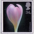 Great Britain 1987 Flowers Lammer 34p Unmounted...