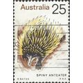 AUSTRALIA, MAMMAL, Spiny Anteater, Echidna, bro...