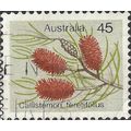AUSTRALIA, FLOWER, Callistemon teretifolius, li...