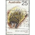 AUSTRALIA, MAMMAL, Spiny Anteater, Echidna, bro...