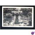 Sussex LITLINGTON Gardens Postcard by Hutchinson