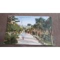 1904 fr Photochrom Postcard - Rock Walk scene, ...