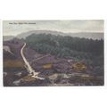 View near Gibbet Hill Hindhead Surrey Inge & Co...