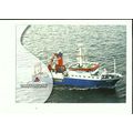 German Research Vessel ALKOR Postcard (Briese S...