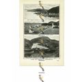Burin, Placentia & Quidi-Vidi, Newfoundland, Ca...