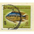 GUYANA 1968 WILDLIFE FISH 6c PATUA USED