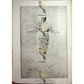 Ascension, George Tinworth, Book Illustration (...